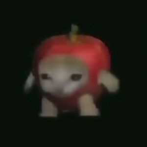 Meet your Posher, Juliana